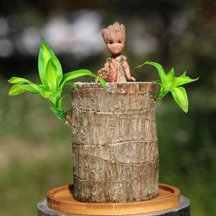 RupRish Brazilian Wood
