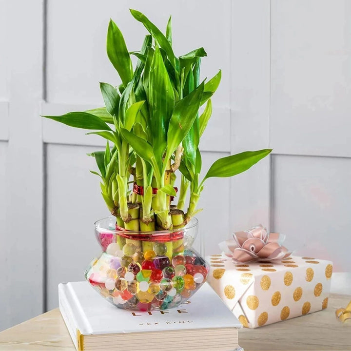 Real Nature Two Layer Bamboo Plant