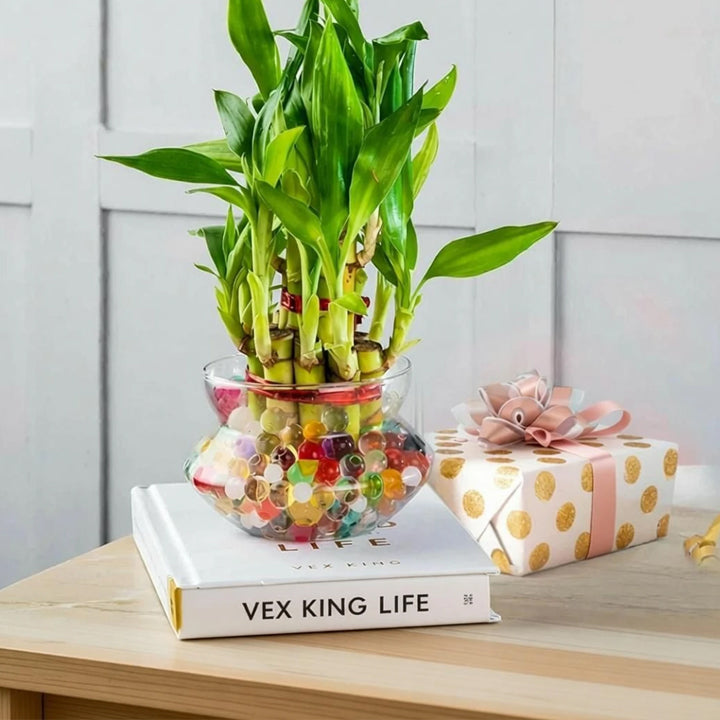Real Nature Two Layer Bamboo Plant